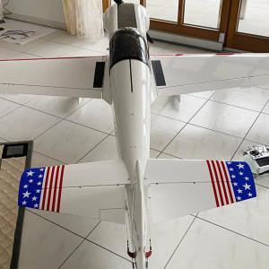 Modellflieger Aufkleber